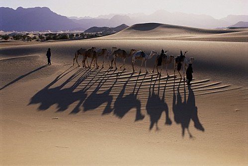 Paysage-du-Sahara-Marocain.jpg