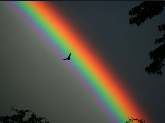 Arc en ciel