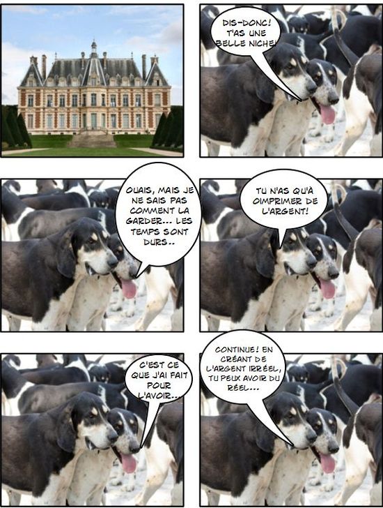 Dialogue de chiens